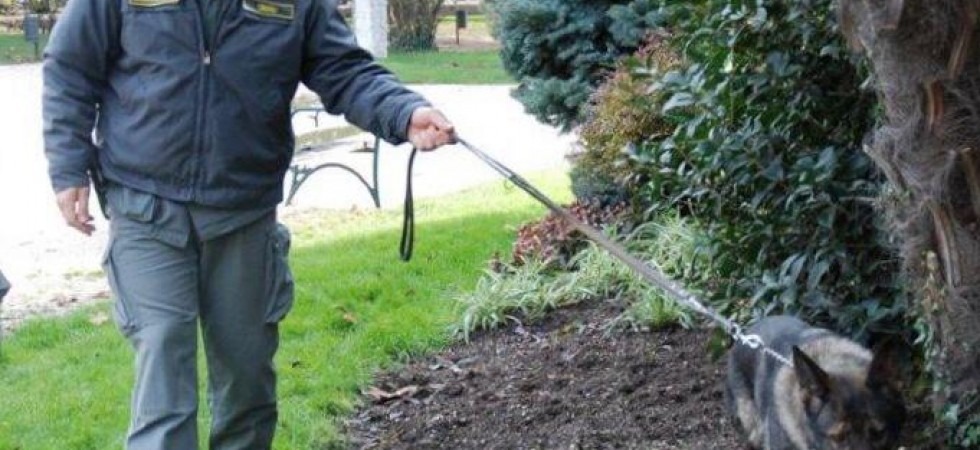Spaccio in piazza Dante, fermati e denunciati due giovani: con loro avevano 700 euro di droga